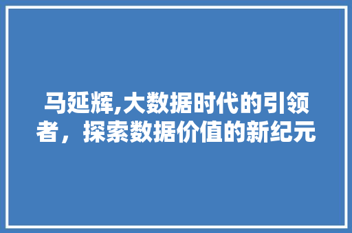 马延辉,大数据时代的引领者，探索数据价值的新纪元