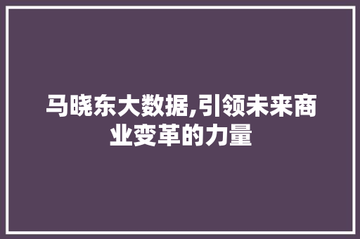 马晓东大数据,引领未来商业变革的力量 网站开发