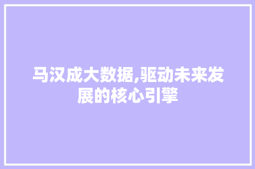马汉成大数据,驱动未来发展的核心引擎 seo技术