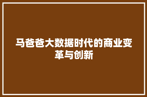 马爸爸大数据时代的商业变革与创新 英文谷歌算法
