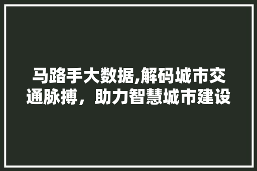 马路手大数据,解码城市交通脉搏，助力智慧城市建设