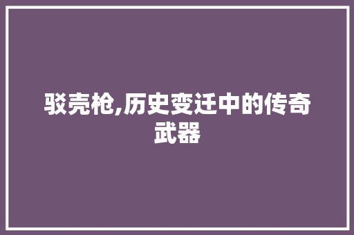 驳壳枪,历史变迁中的传奇武器 网站优化