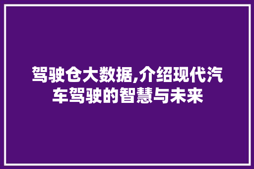 驾驶仓大数据,介绍现代汽车驾驶的智慧与未来 头条优化