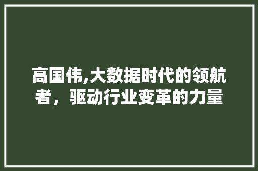高国伟,大数据时代的领航者，驱动行业变革的力量