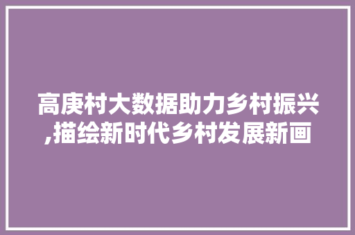 高庚村大数据助力乡村振兴,描绘新时代乡村发展新画卷