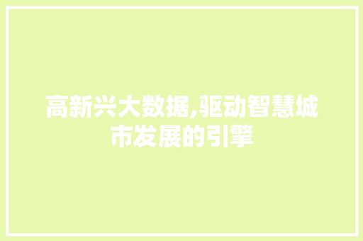 高新兴大数据,驱动智慧城市发展的引擎