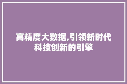 高精度大数据,引领新时代科技创新的引擎