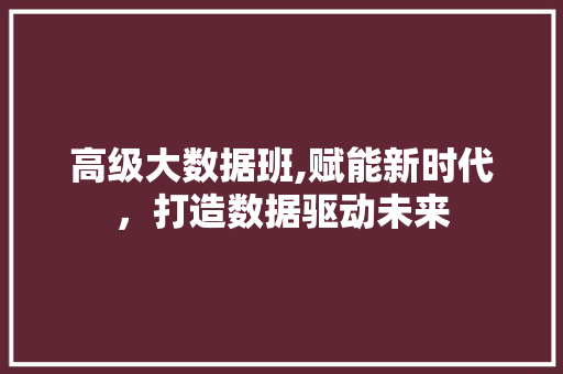 高级大数据班,赋能新时代，打造数据驱动未来