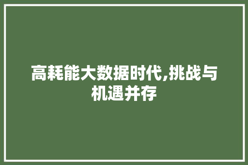高耗能大数据时代,挑战与机遇并存 网站开发