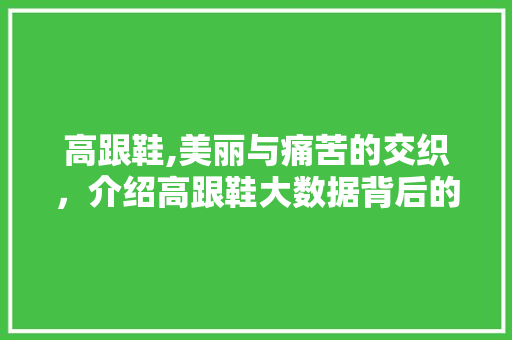 高跟鞋,美丽与痛苦的交织，介绍高跟鞋大数据背后的秘密
