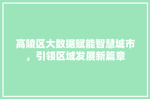 高陵区大数据赋能智慧城市，引领区域发展新篇章 百度算法