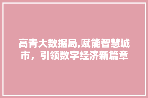 高青大数据局,赋能智慧城市，引领数字经济新篇章