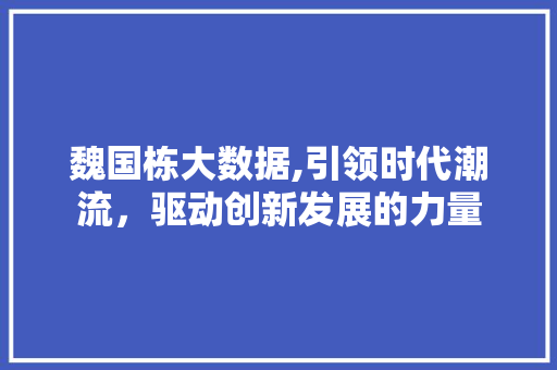 魏国栋大数据,引领时代潮流，驱动创新发展的力量