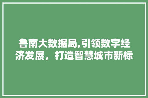 鲁南大数据局,引领数字经济发展，打造智慧城市新标杆 英文谷歌算法