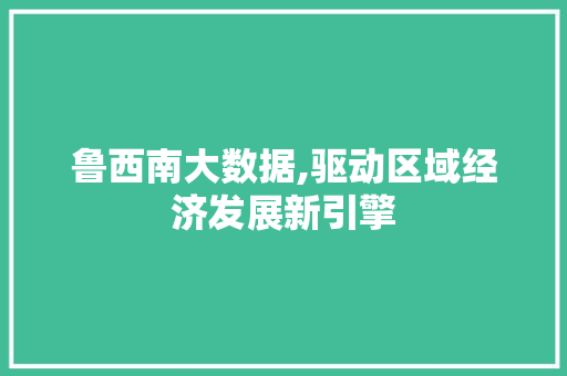鲁西南大数据,驱动区域经济发展新引擎 seo技术