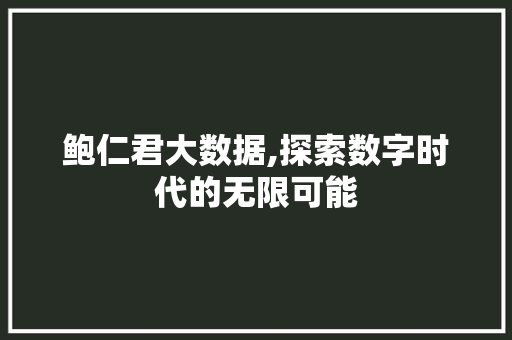 鲍仁君大数据,探索数字时代的无限可能