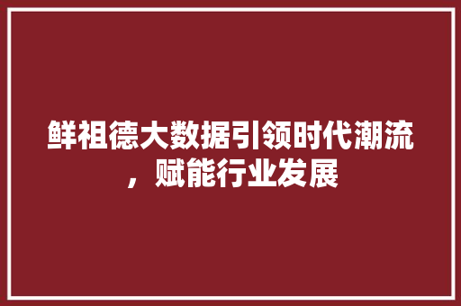 鲜祖德大数据引领时代潮流，赋能行业发展