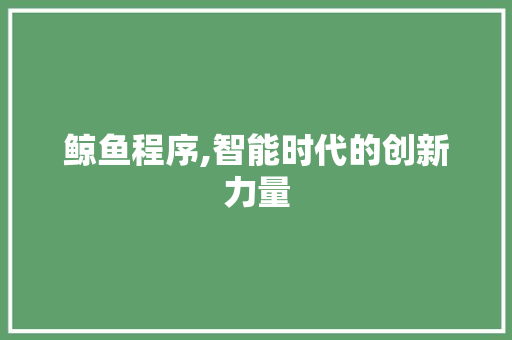 鲸鱼程序,智能时代的创新力量