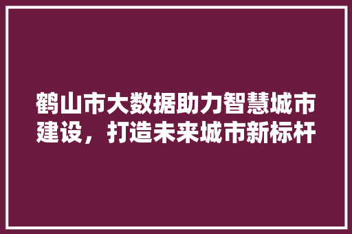 鹤山市大数据助力智慧城市建设，打造未来城市新标杆