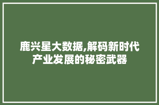 鹿兴星大数据,解码新时代产业发展的秘密武器