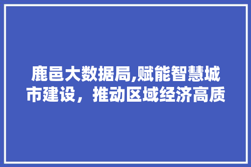 鹿邑大数据局,赋能智慧城市建设，推动区域经济高质量发展 seo技术