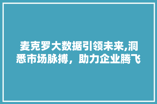 麦克罗大数据引领未来,洞悉市场脉搏，助力企业腾飞 网站优化
