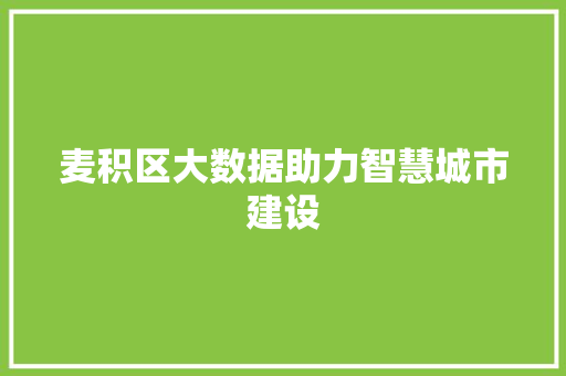 麦积区大数据助力智慧城市建设 seo技术