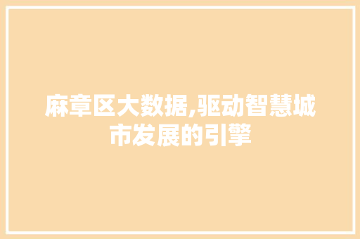 麻章区大数据,驱动智慧城市发展的引擎