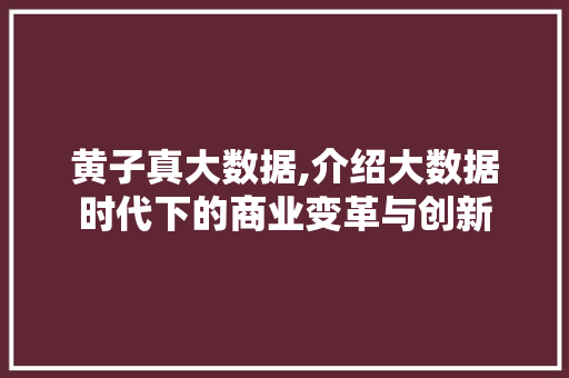 黄子真大数据,介绍大数据时代下的商业变革与创新 网站开发