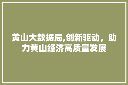 黄山大数据局,创新驱动，助力黄山经济高质量发展