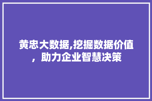 黄忠大数据,挖掘数据价值,助力企业智慧决策 360搜优化 黄忠大数据,挖掘数据价值,助力企业智慧决策 360搜优化