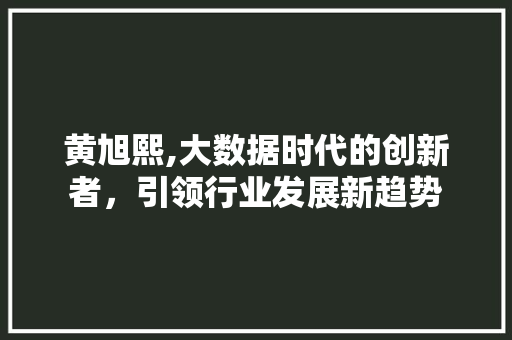 黄旭熙,大数据时代的创新者，引领行业发展新趋势