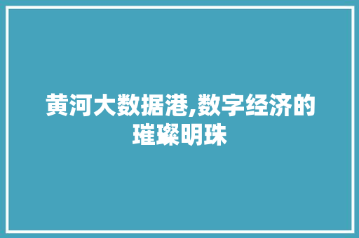 黄河大数据港,数字经济的璀璨明珠 头条优化