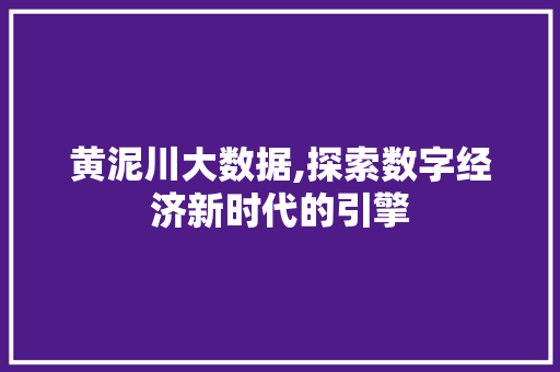 黄泥川大数据,探索数字经济新时代的引擎 网站开发