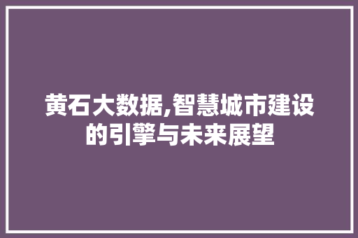黄石大数据,智慧城市建设的引擎与未来展望 360搜优化