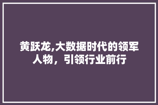 黄跃龙,大数据时代的领军人物，引领行业前行
