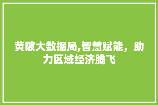 黄陂大数据局,智慧赋能，助力区域经济腾飞