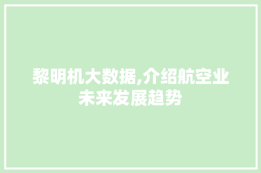黎明机大数据,介绍航空业未来发展趋势