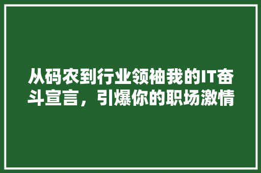 从码农到行业领袖我的IT奋斗宣言，引爆你的职场激情！