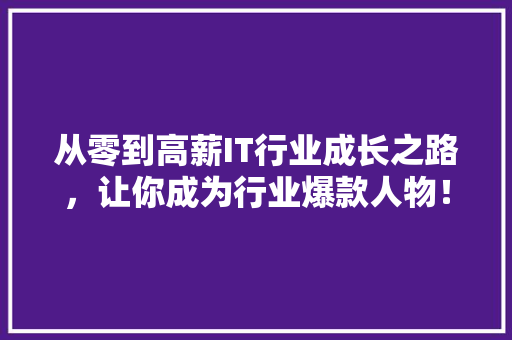 从零到高薪IT行业成长之路，让你成为行业爆款人物！