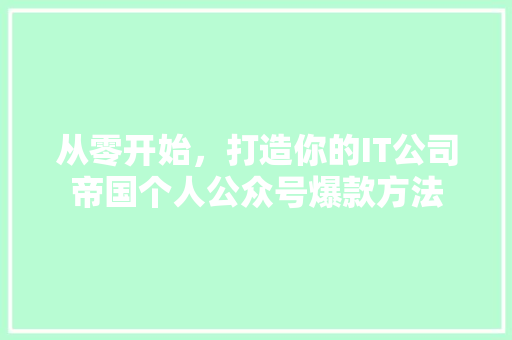 从零开始，打造你的IT公司帝国个人公众号爆款方法 网站优化