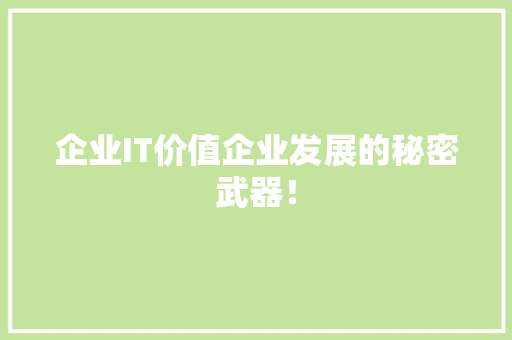 企业IT价值企业发展的秘密武器！