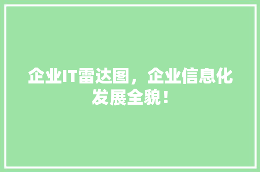 企业IT雷达图，企业信息化发展全貌！ 网站优化