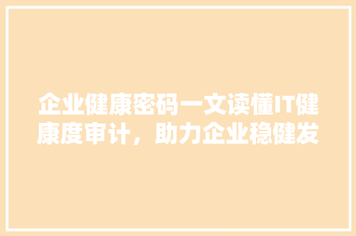 企业健康密码一文读懂IT健康度审计，助力企业稳健发展