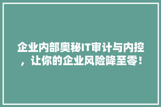 企业内部奥秘IT审计与内控，让你的企业风险降至零！