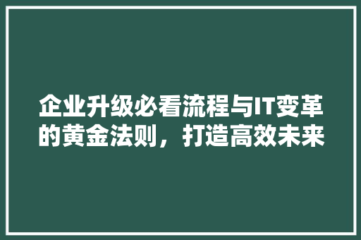 企业升级必看流程与IT变革的黄金法则，打造高效未来 头条优化