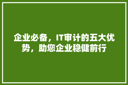 企业必备，IT审计的五大优势，助您企业稳健前行