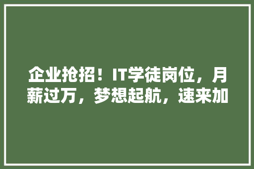 企业抢招！IT学徒岗位，月薪过万，梦想起航，速来加入！ 百度算法