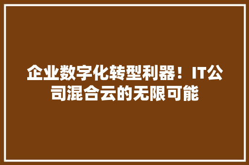 企业数字化转型利器！IT公司混合云的无限可能 AI技术学习