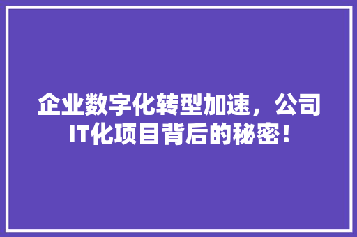 企业数字化转型加速，公司IT化项目背后的秘密！